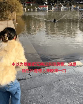 3DM轻松一刻第1446期 看这潇洒的身影摔得多惨！