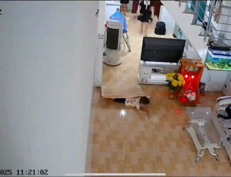 3DM轻松一刻第1582期 面纱也遮不住这绝世的容颜