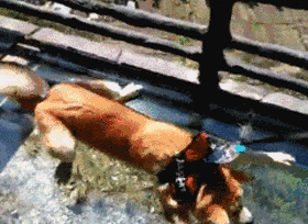 3DM轻松一刻第1583期 妹子这么可爱你出手这么重