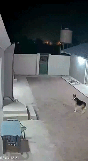 3DM轻松一刻第1584期 修电脑是女秘书必备的技能