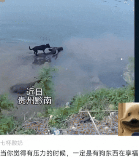 3DM轻松一刻第1585期 最俗的外表放最极品的东西