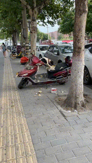 3DM轻松一刻第1585期 最俗的外表放最极品的东西