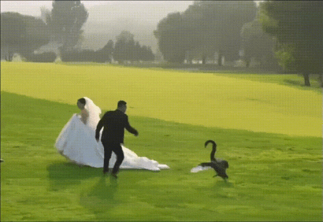 3DM轻松一刻第1585期 最俗的外表放最极品的东西