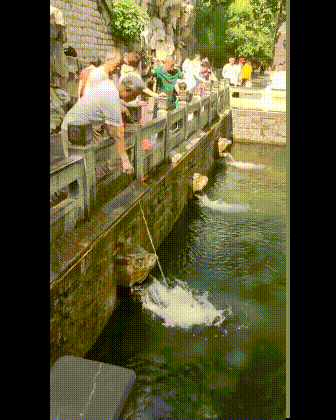 3DM轻松一刻第1581期 体育老师也过不了美人关的