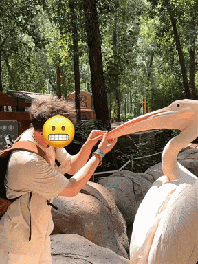 3DM轻松一刻第1582期 面纱也遮不住这绝世的容颜