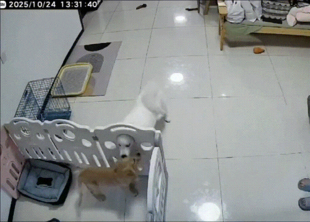 3DM轻松一刻第1584期 修电脑是女秘书必备的技能