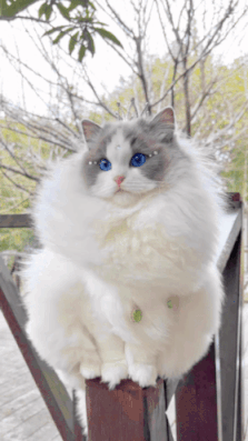 周五福利囧图云飞系列 体育老师也过不了美人关！