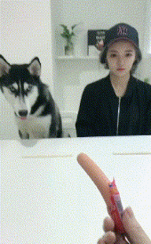 周五福利囧图云飞系列 体育老师也过不了美人关！