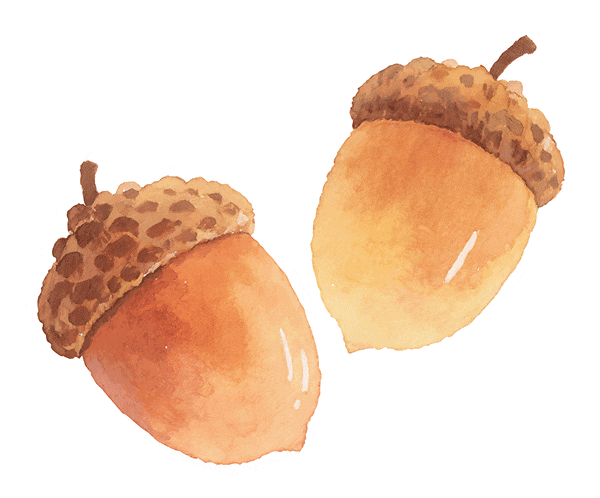 秋冬开车防打滑口诀曝光：刹车、油门这么用才是真正稳妥安全！-有驾