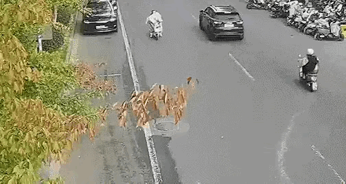 多地严查！电动车挡风被是御寒神器还是夺命隐患？-有驾