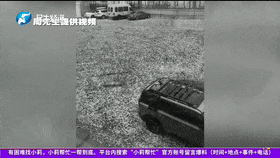 全款22万提理想L6,车身喜提几百个坑,4S店:哥,收车吧-有驾 全款22万提理想L6,车身喜提几百个坑,4S店:哥,收车吧-有驾