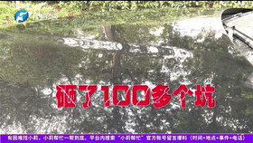 全款22万提理想L6,车身喜提几百个坑,4S店:哥,收车吧-有驾 全款22万提理想L6,车身喜提几百个坑,4S店:哥,收车吧-有驾