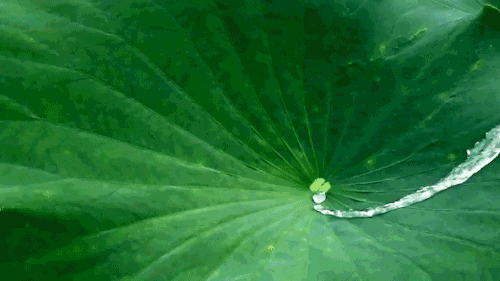 跑长途时，尽量给爱车备上这3样东西，价格不贵但实用性极强！-有驾